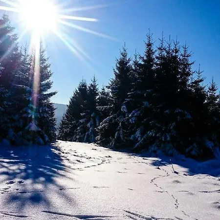 Daire Schanzenstrasse 690 M Ue. M