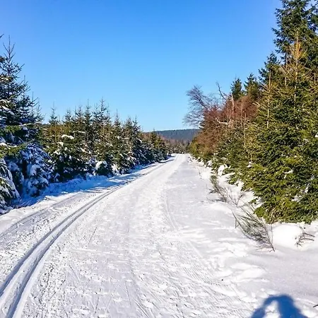 Daire Schanzenstrasse 690 M Ue. M Winterberg