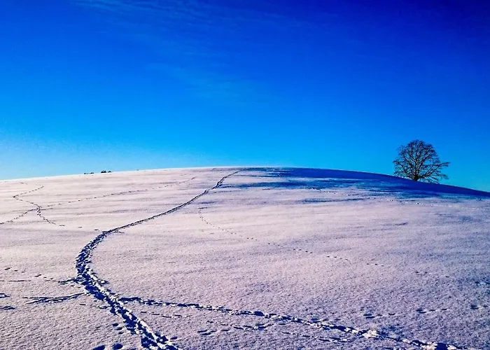 Schanzenstrasse 690 M Ue. M דירה