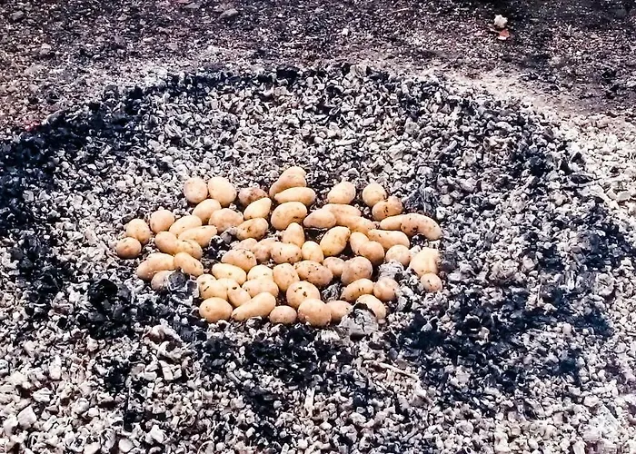 Schanzenstrasse 690 M Ue. M Appartement