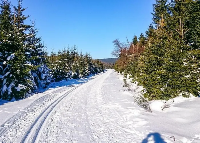 Apartmán Schanzenstrasse 690 M Ue. M Winterberg